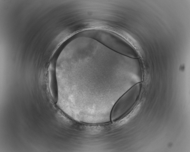 X0000116451001201001191549