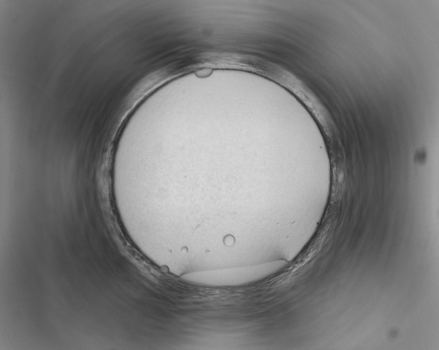 X0000116451002201001191549