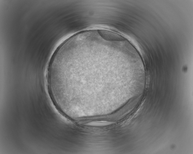 X0000116451003201001191549