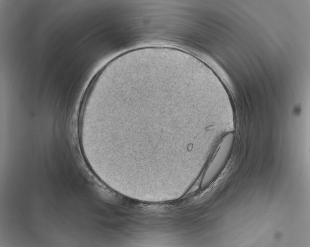 X0000116451004201001191549
