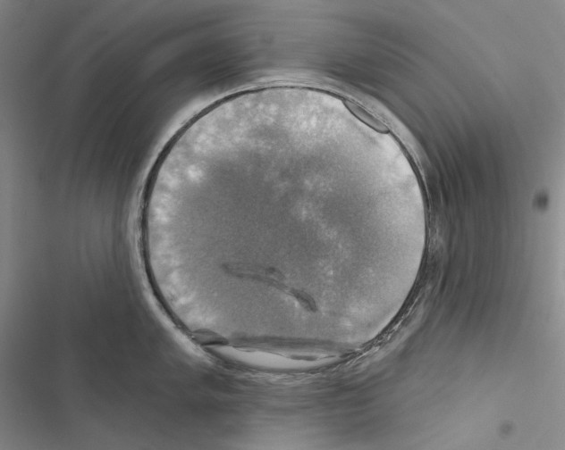 X0000116451005201001191549