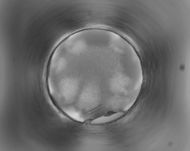 X0000116451007201001191549