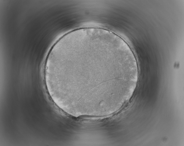 X0000116451008201001191549