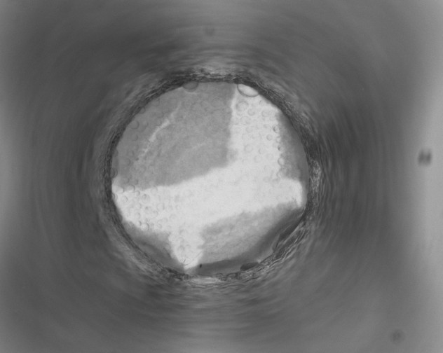 X0000116451009201001191548