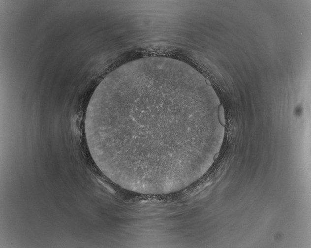 X0000116451010201001191548