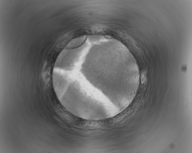X0000116451011201001191548