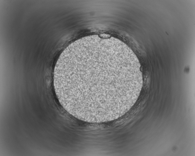 X0000116451012201001191548
