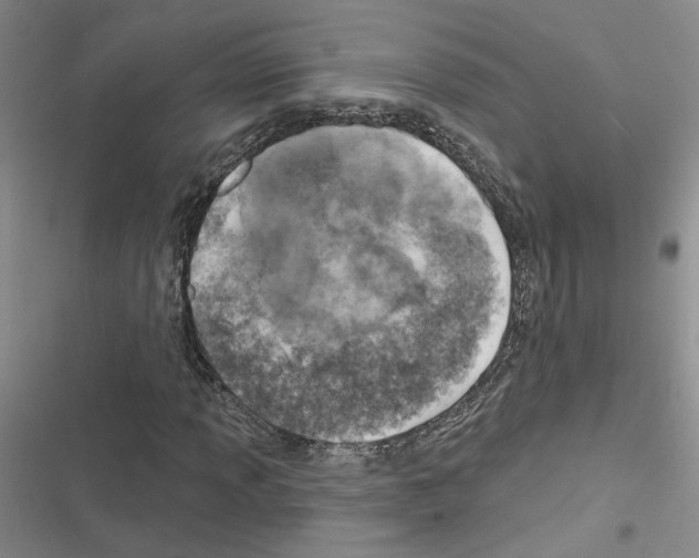 X0000116451013201001191548