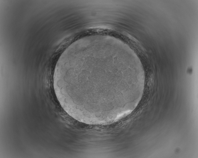 X0000116451014201001191548