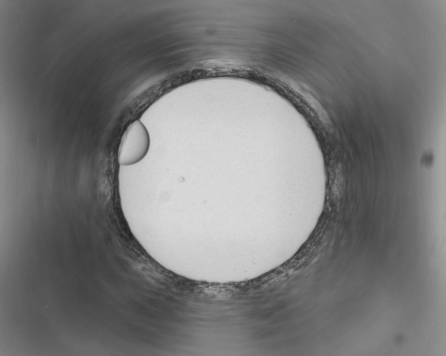 X0000116451015201001191548