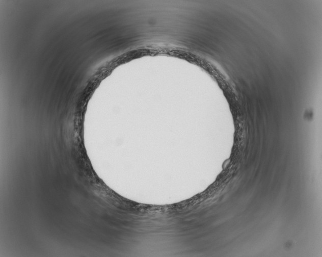 X0000116451016201001191548