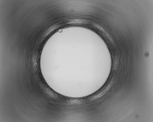 X0000116451017201001191548
