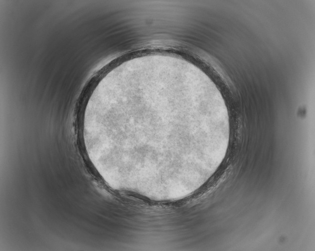 X0000116451018201001191548
