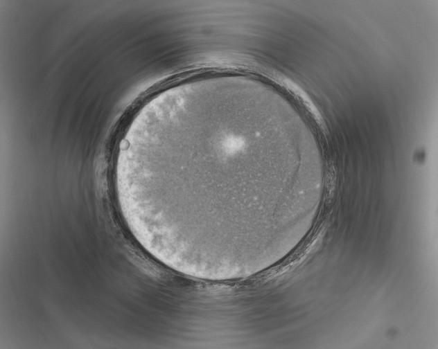 X0000116451019201001191548