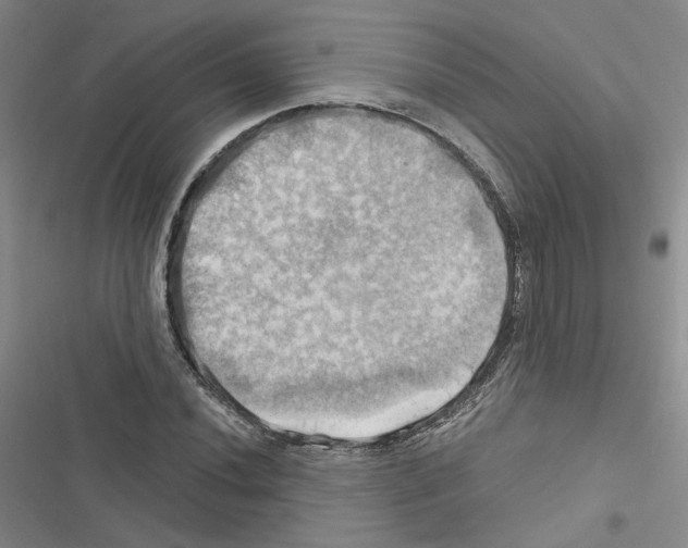 X0000116451020201001191548