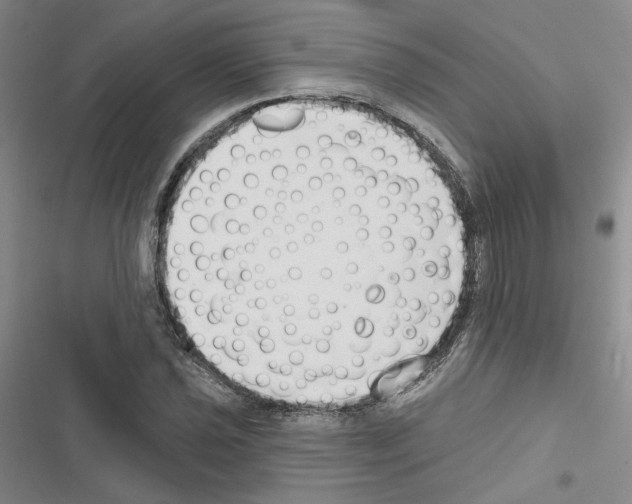 X0000116451021201001191548