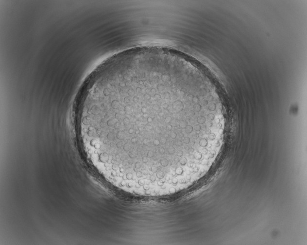 X0000116451022201001191548