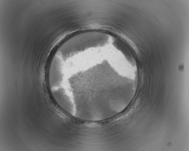 X0000116451023201001191548