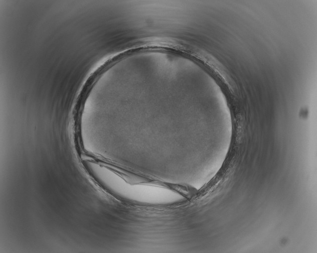 X0000116451024201001191548