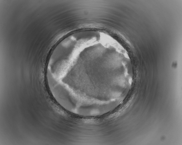 X0000116451025201001191548