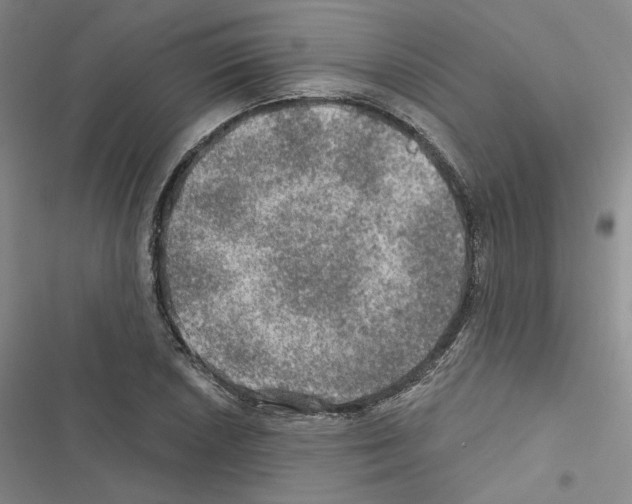 X0000116451026201001191548