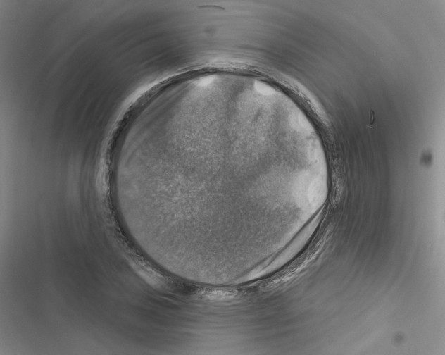 X0000116451027201001191548