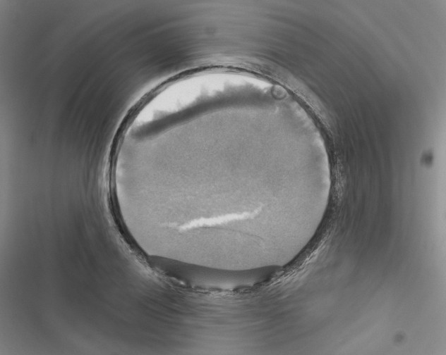 X0000116451028201001191548