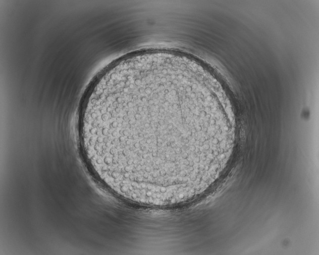 X0000116451030201001191548