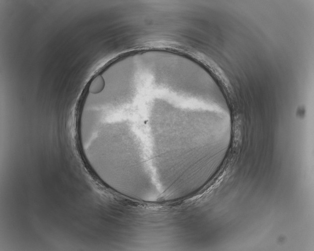 X0000116451031201001191548