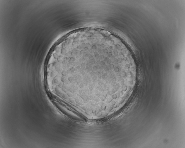 X0000116451032201001191548