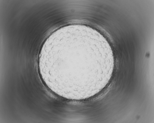 X0000116451033201001191548