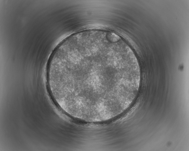 X0000116451034201001191548