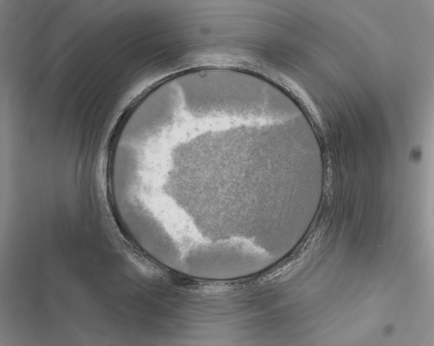 X0000116451035201001191548