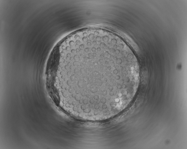 X0000116451036201001191548