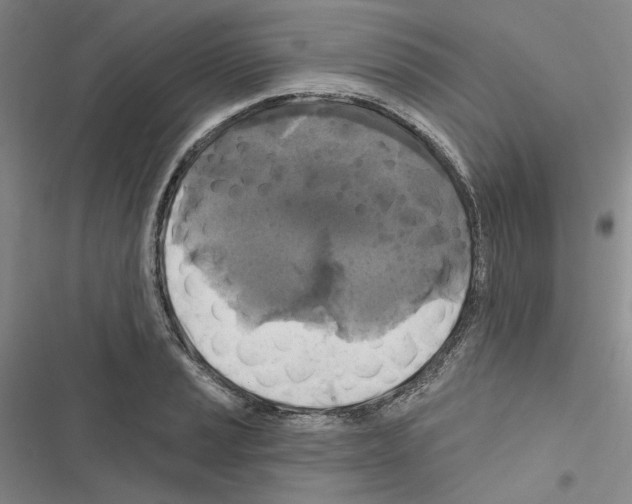 X0000116451037201001191548