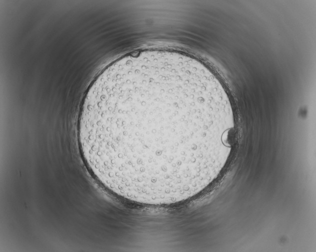 X0000116451041201001191548