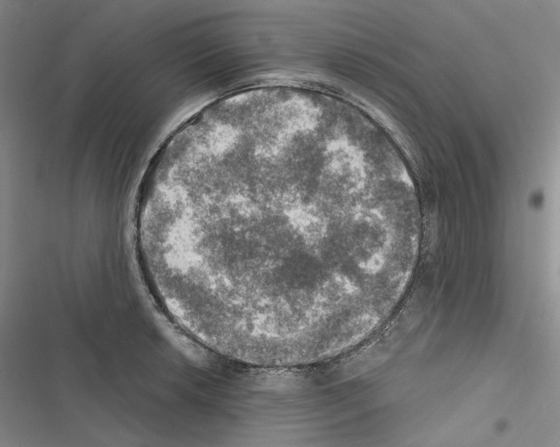 X0000116451042201001191548