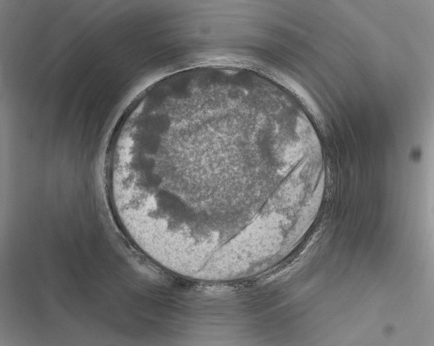 X0000116451043201001191548