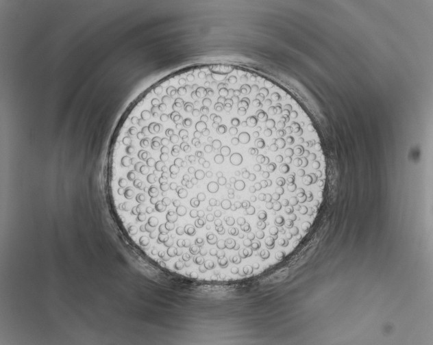 X0000116451044201001191548
