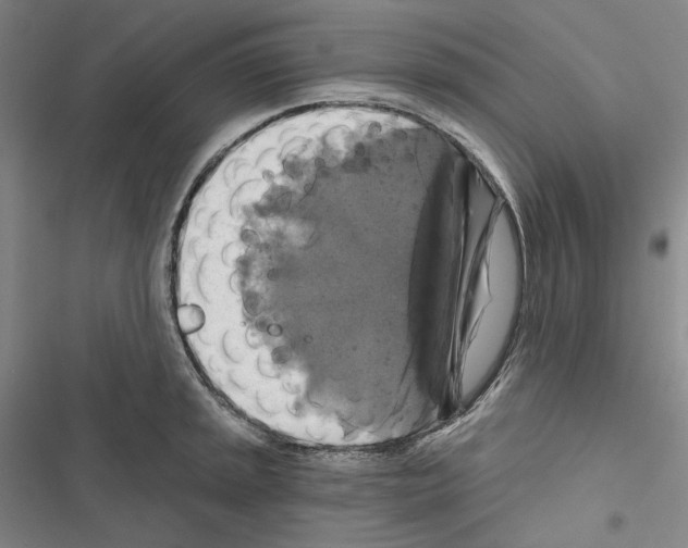 X0000116451045201001191548