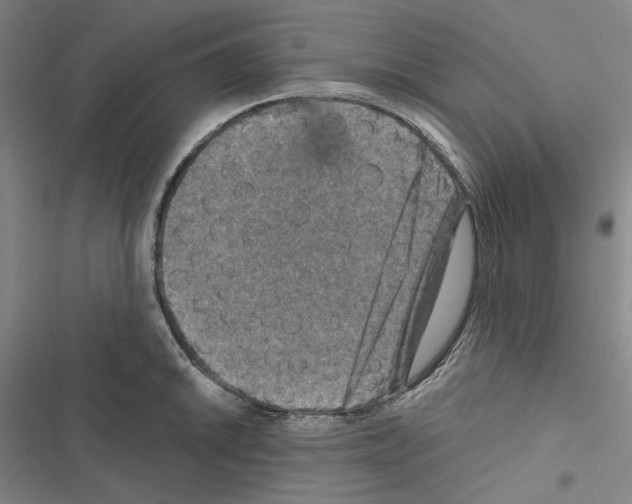 X0000116451046201001191548