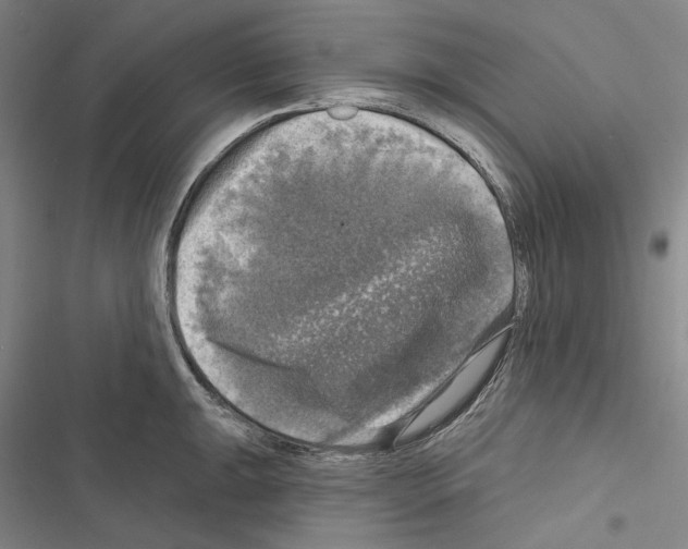 X0000116451047201001191548