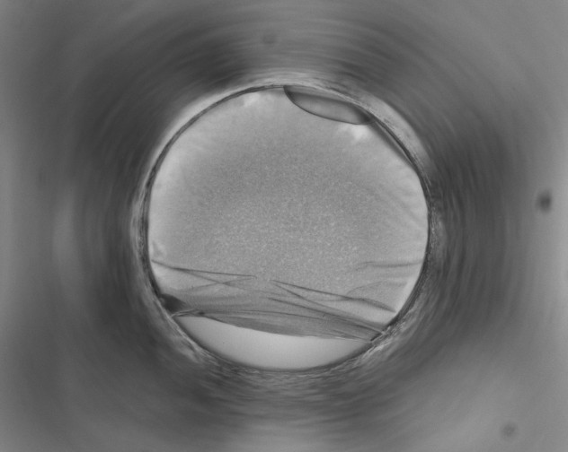 X0000116451052201001191549