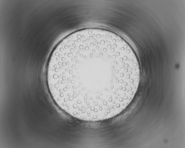 X0000116451053201001191549