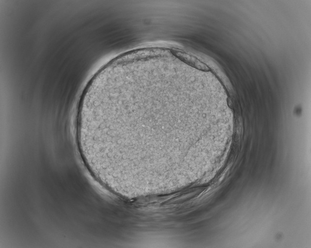 X0000116451054201001191549