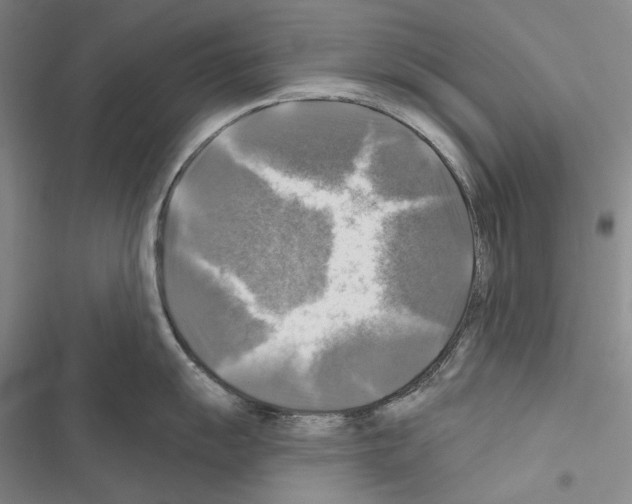 X0000116451055201001191549