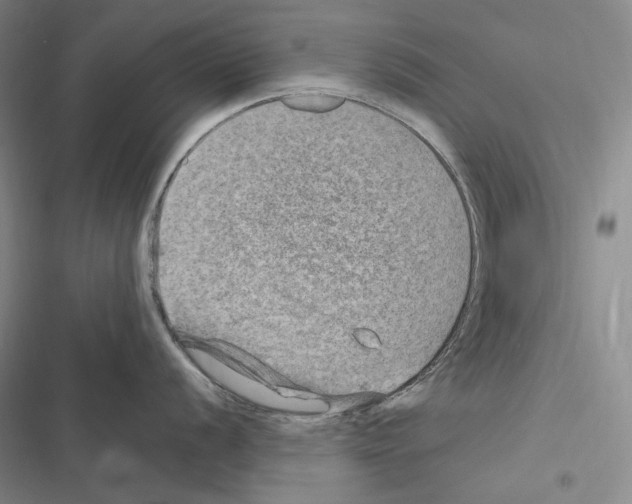 X0000116451056201001191549