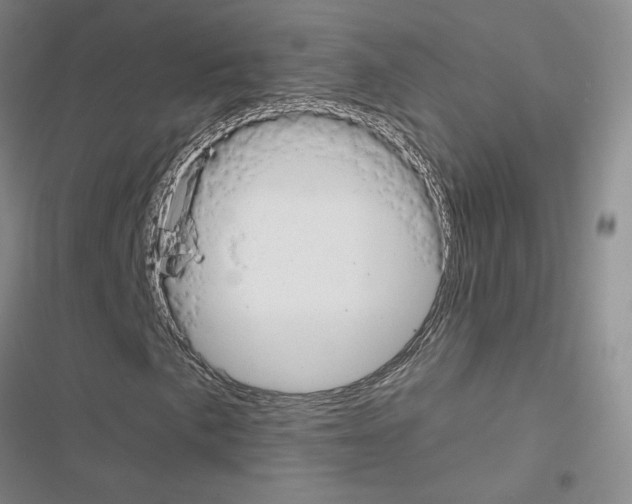 X0000116451057201001191548