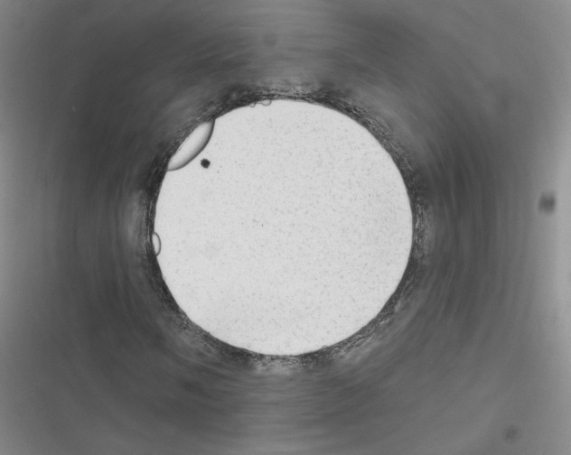 X0000116451058201001191548