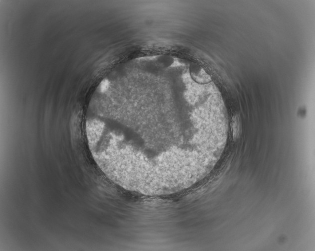 X0000116451059201001191548